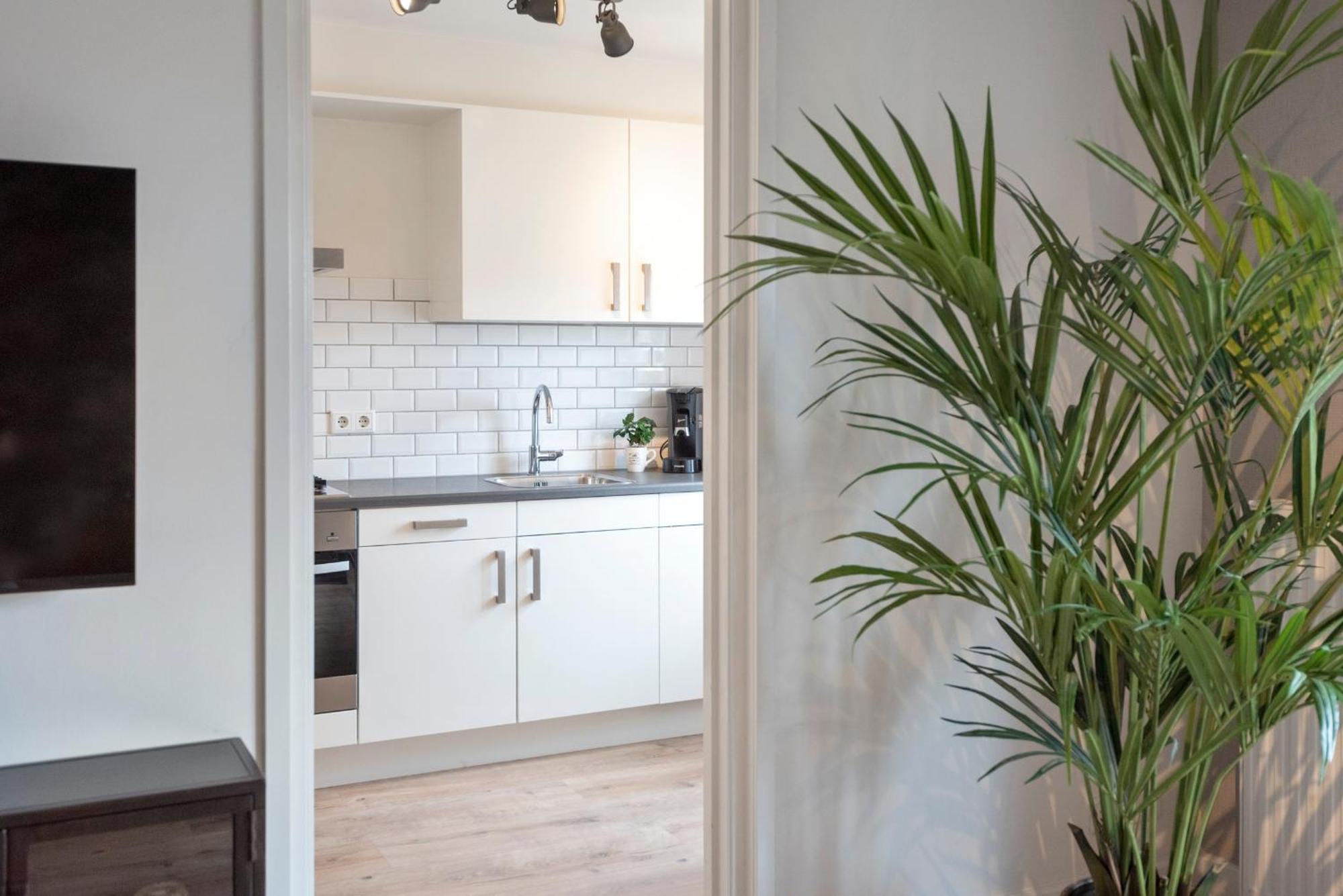 Beach&Dunes Apartment Zandvoort Eksteriør billede